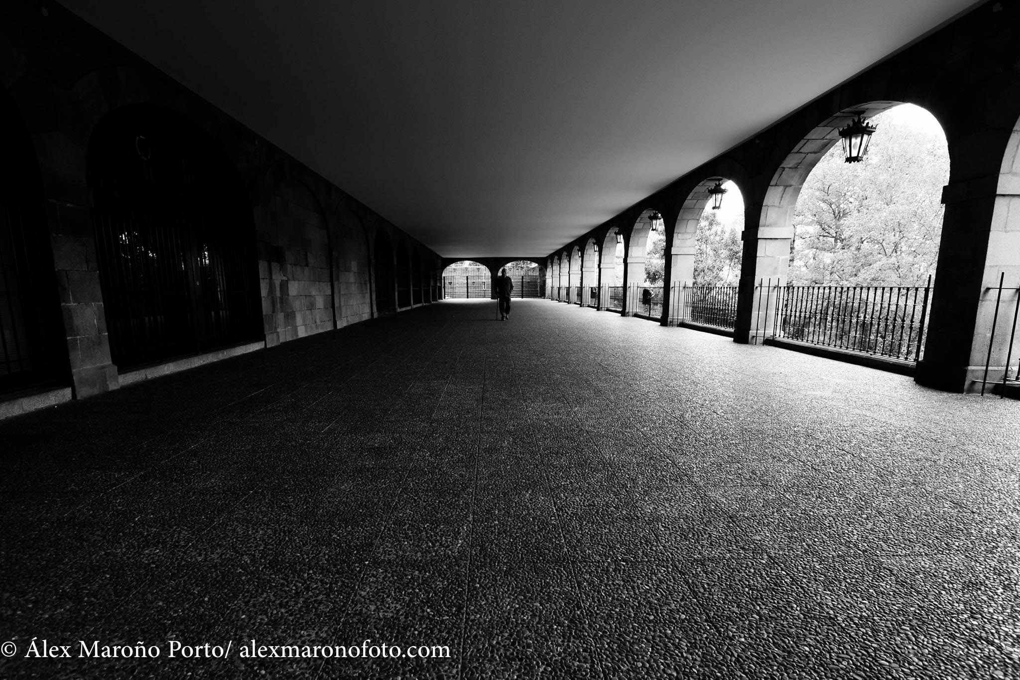 17990462_403548053350314_5242789753520261390_o