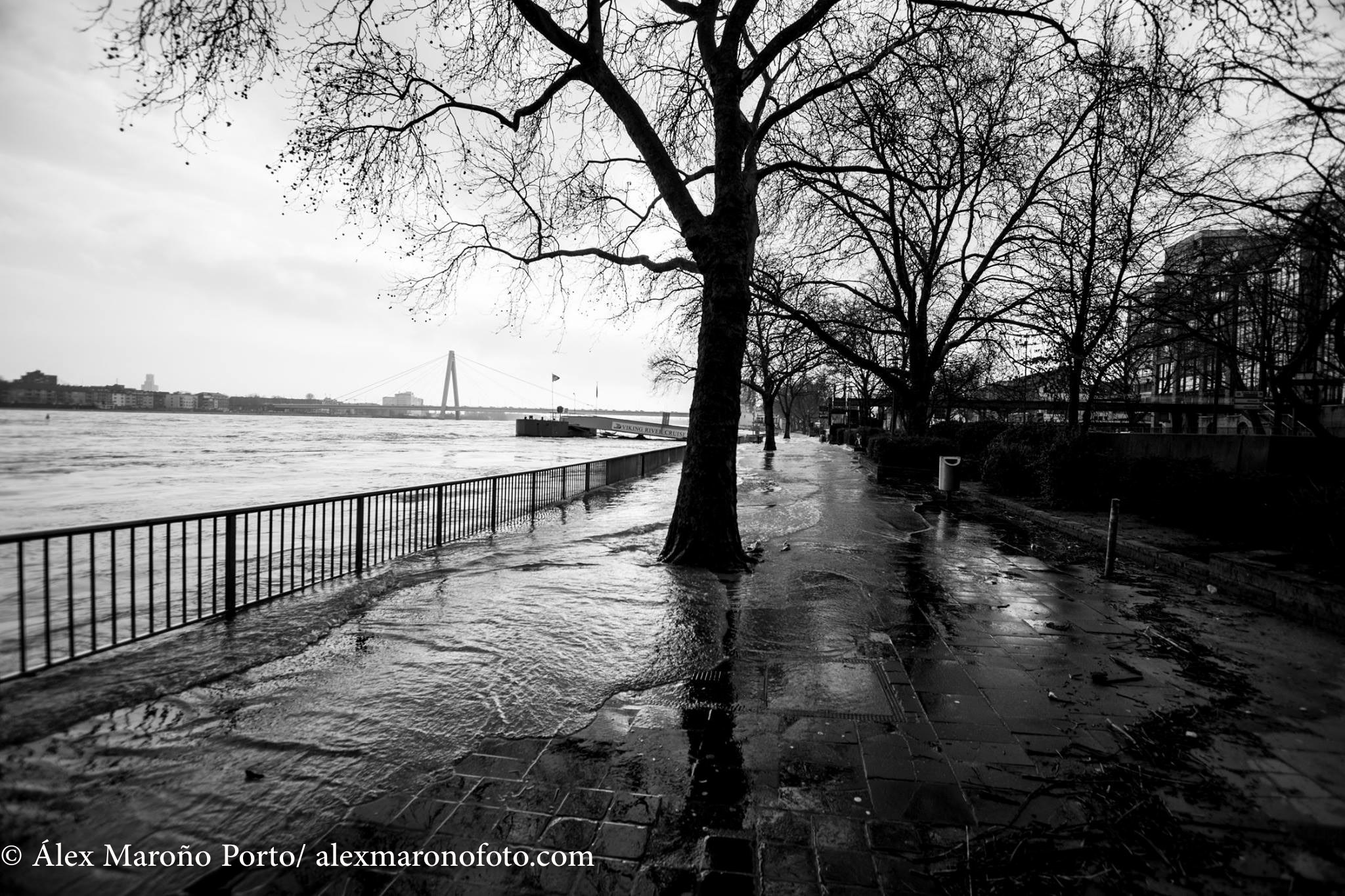 27624861_528427304195721_404418806536663811_o